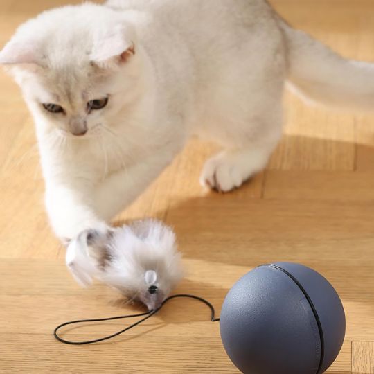 jouet-chat-balla-enchantée
