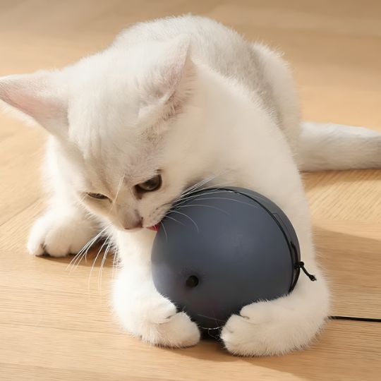 jouet-chat-bleu
