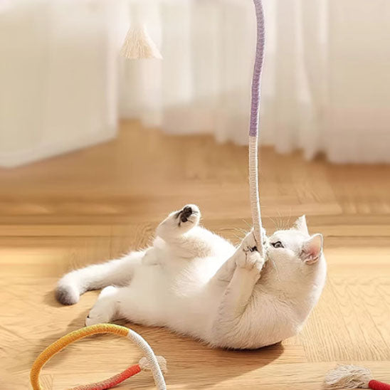 jouet-chat-corde