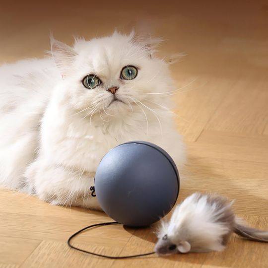 jouet-chat-intelligent-bleu