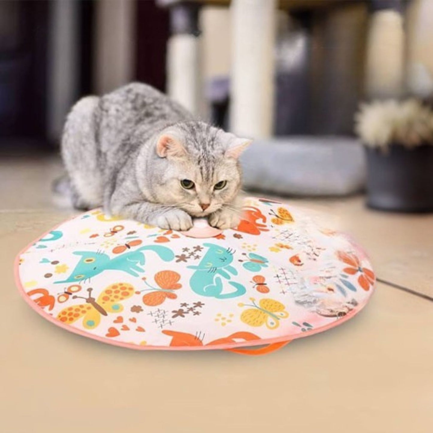 jouet-chat-interactif-attraper