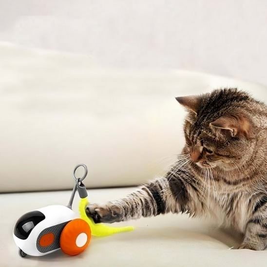 jouet-chat-interactif-exercice-physique