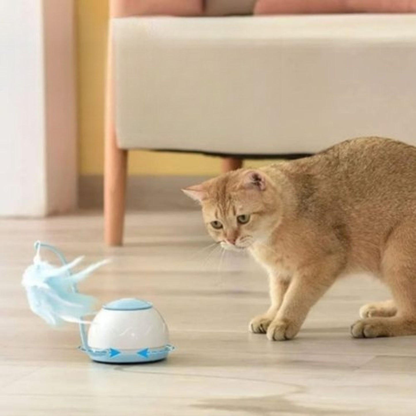 jouet-chat-interactif-exercice-plume