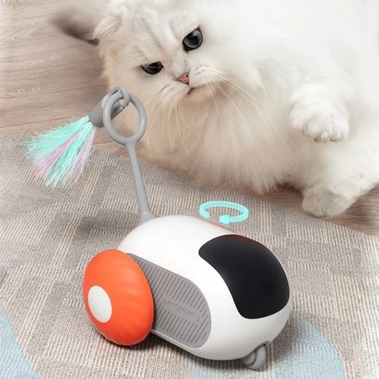 jouet-chat-interactif-intelligent-voiture