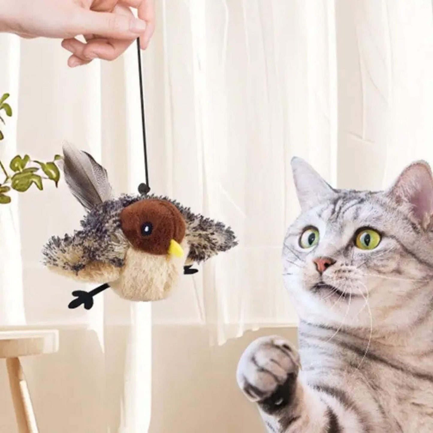 jouet-chat-interactif-interaction