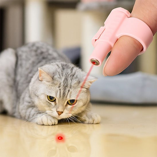 jouet-chat-interactif-laser-rose