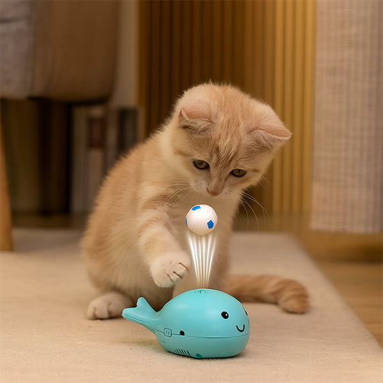 jouet-chat-interactif-ludique