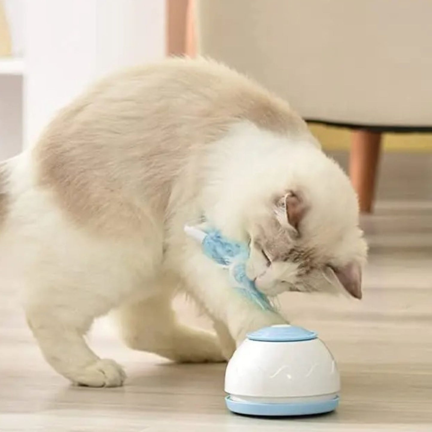 jouet-chat-interactif-mobile