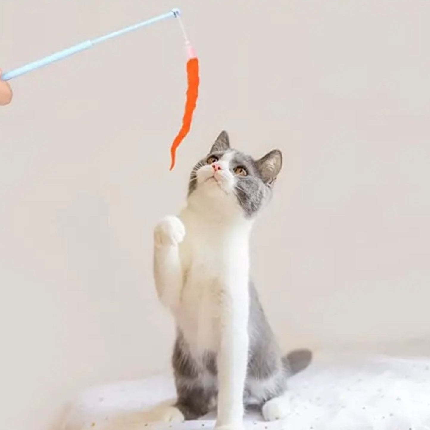 jouet-chat-interactif-stimulant-duo