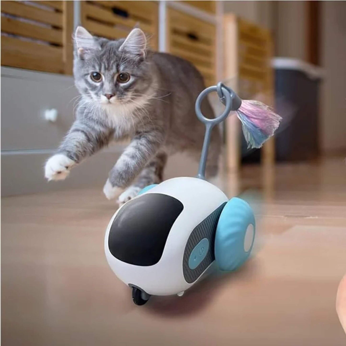 jouet-chat-interactif-voiture-bleu
