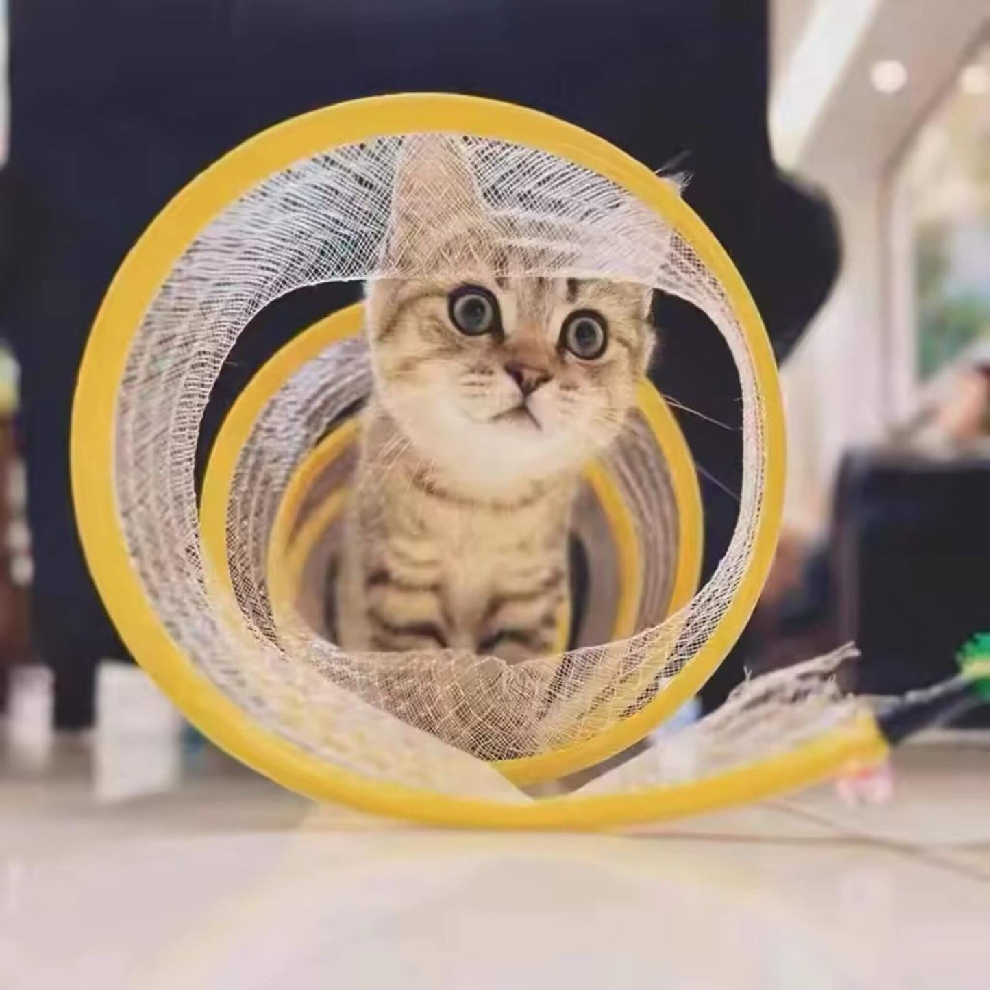 jouet-chat-mignon
