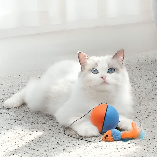 jouet-chat-orange-bleu
