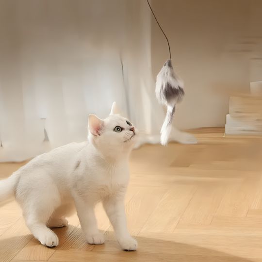jouet-chat-unique