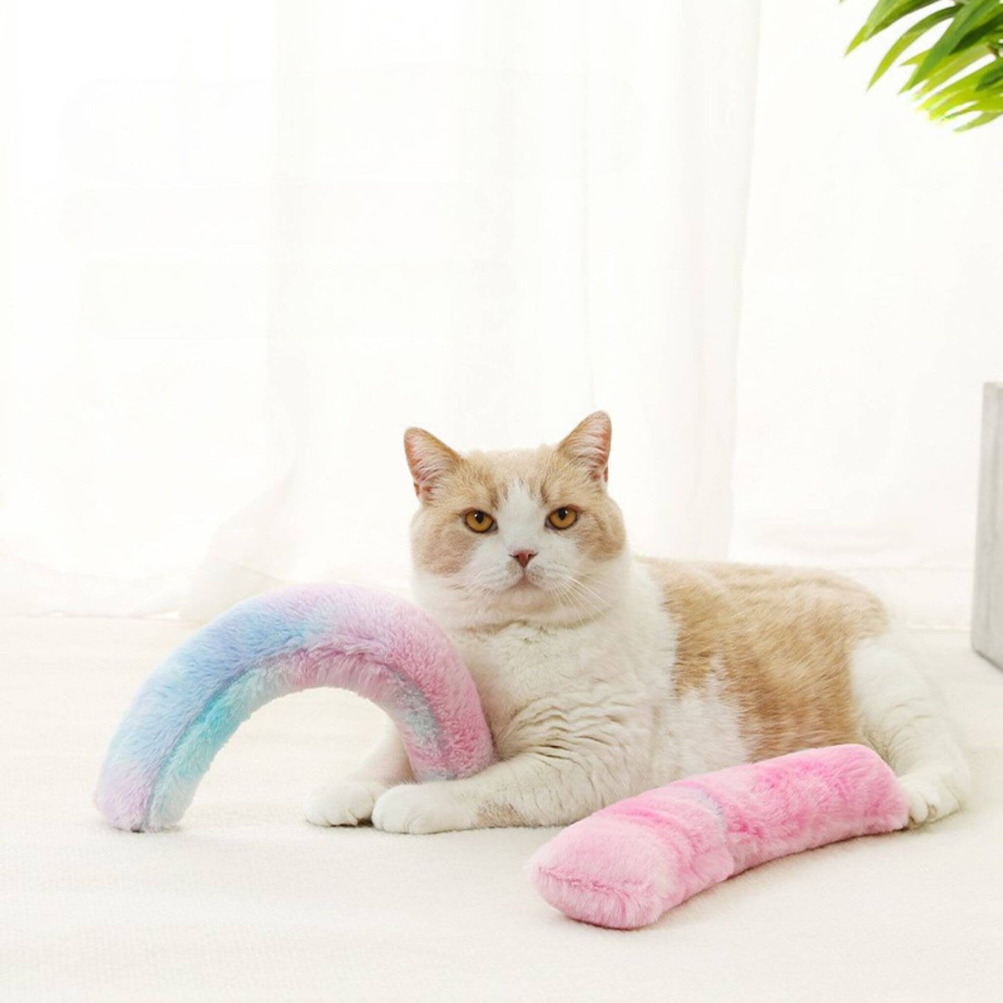 jouet-herbe-a-chat-amusant