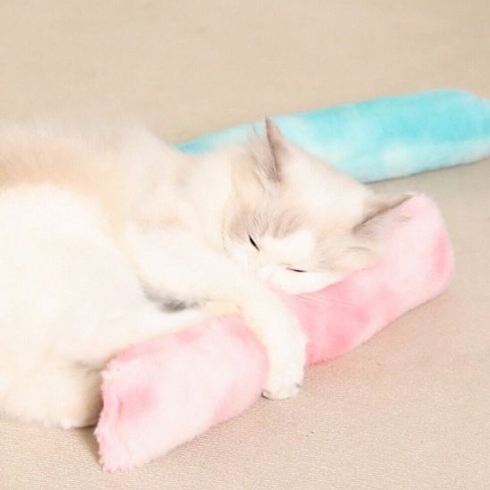 jouet herbe a chat | Bâton Coloré
