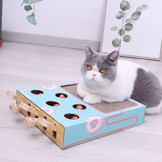 jouet-interactif-pour-chat-3en1