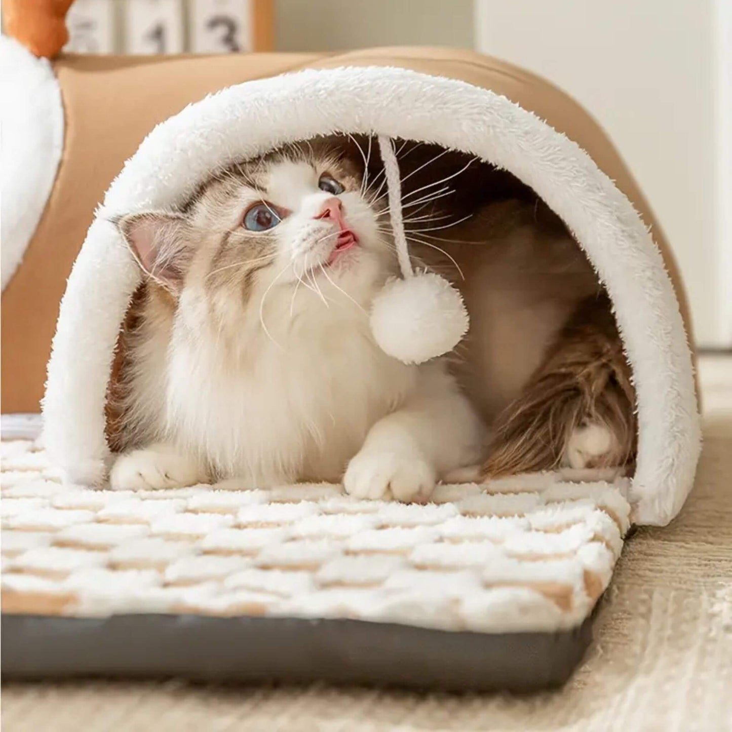 jouet-interactif-pour-chat-amusant