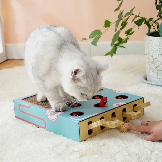 jouet-interactif-pour-chat-attrape