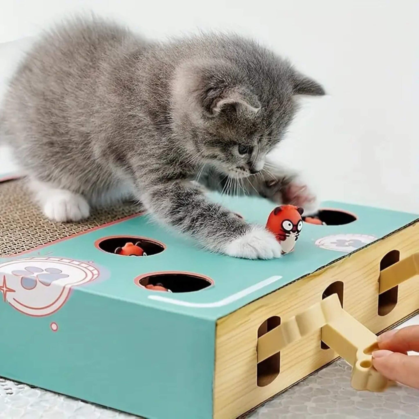 jouet-interactif-pour-chat-cache-cache