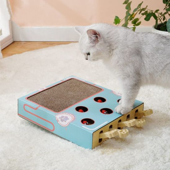 jouet-interactif-pour-chat-intelligent