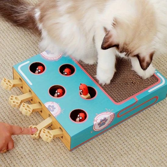 jouet-interactif-pour-chat-multijeux
