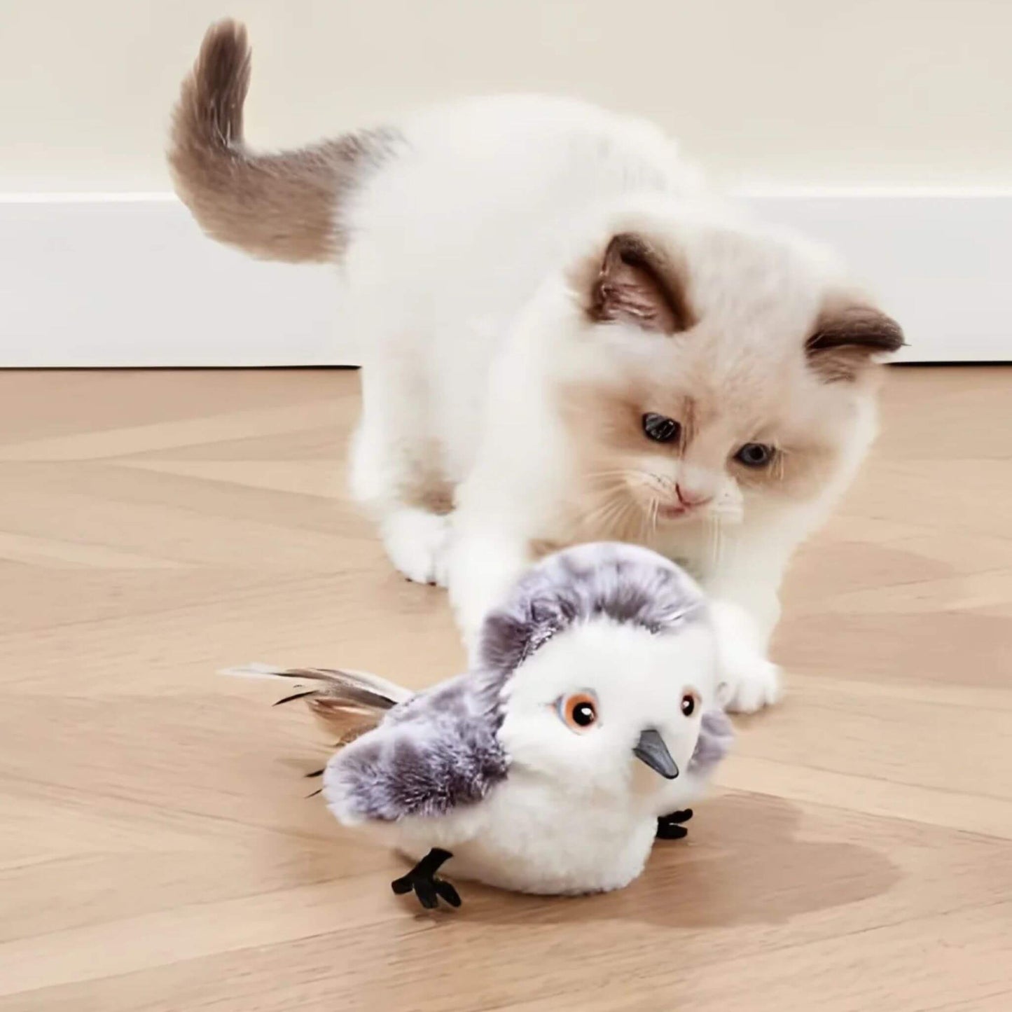 jouet-oiseau-pour-chat-amusant