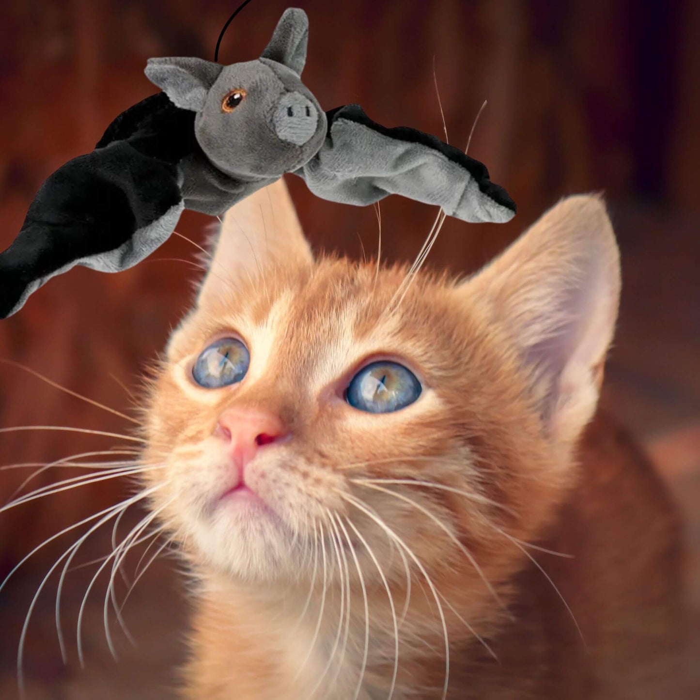 jouet-oiseau-pour-chat-chasse-chauve-souris