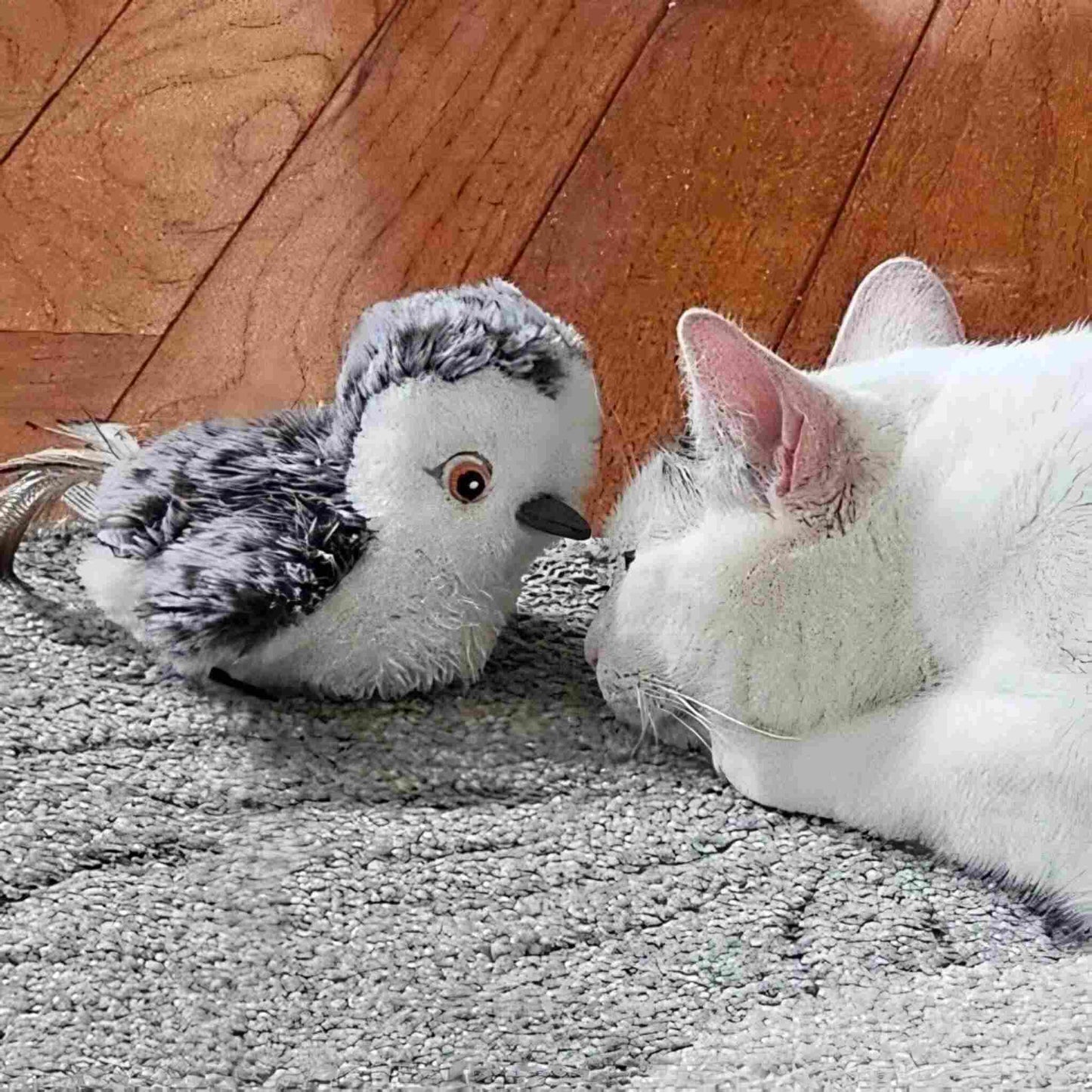 jouet-oiseau-pour-chat-chasser