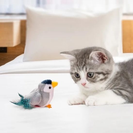 jouet-oiseau-pour-chat-unique-gris