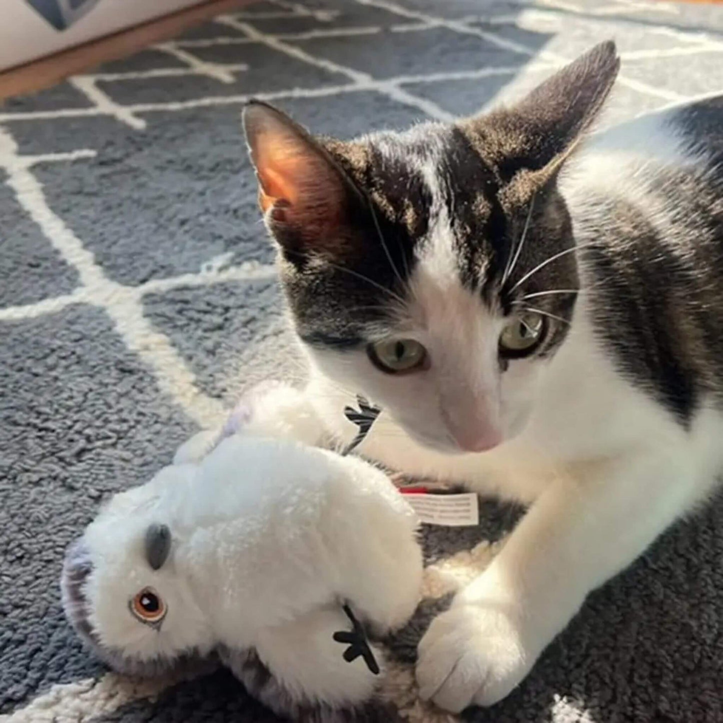 jouet-oiseau-pour-chat-unique