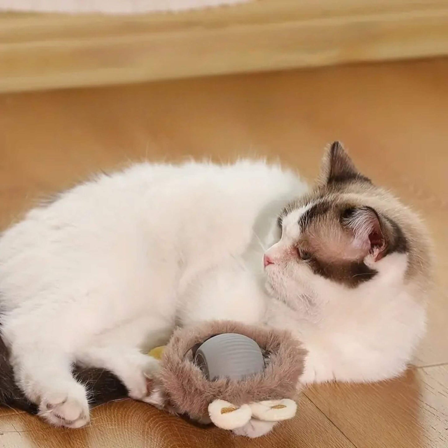 jouet-pour-chat-gris