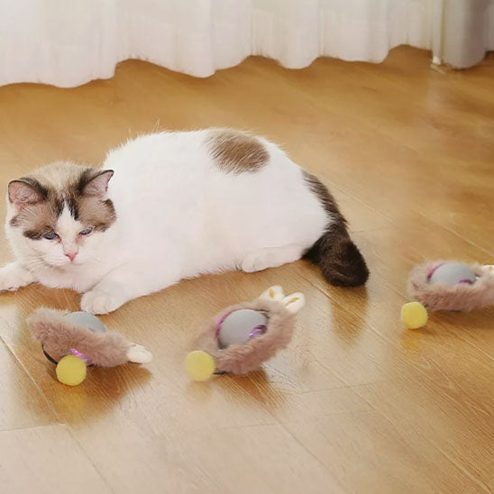 jouet-pour-chat-intelligent-balle-lapin