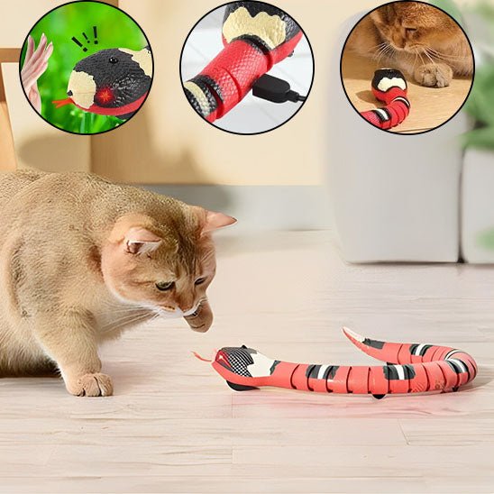 jouet pour chat | JOUSNAKE - Happy minet