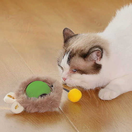 jouet-pour-chat-lapin-balle-verte