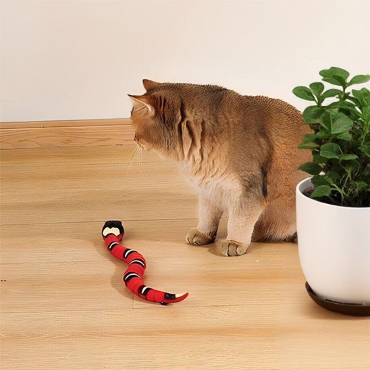 jouet-pour-chat-stimulant-serpent