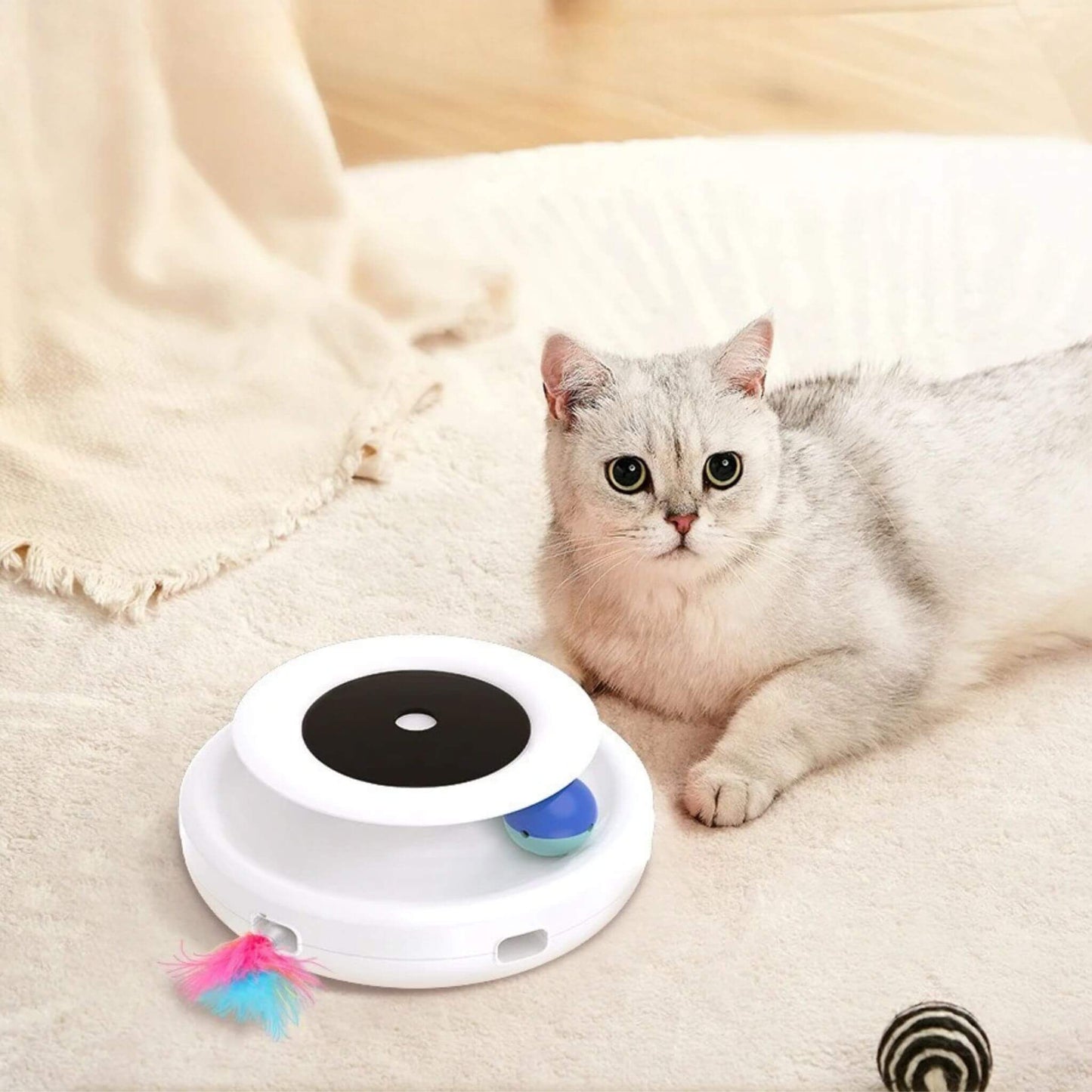 jouet-robot-chat-distrayant