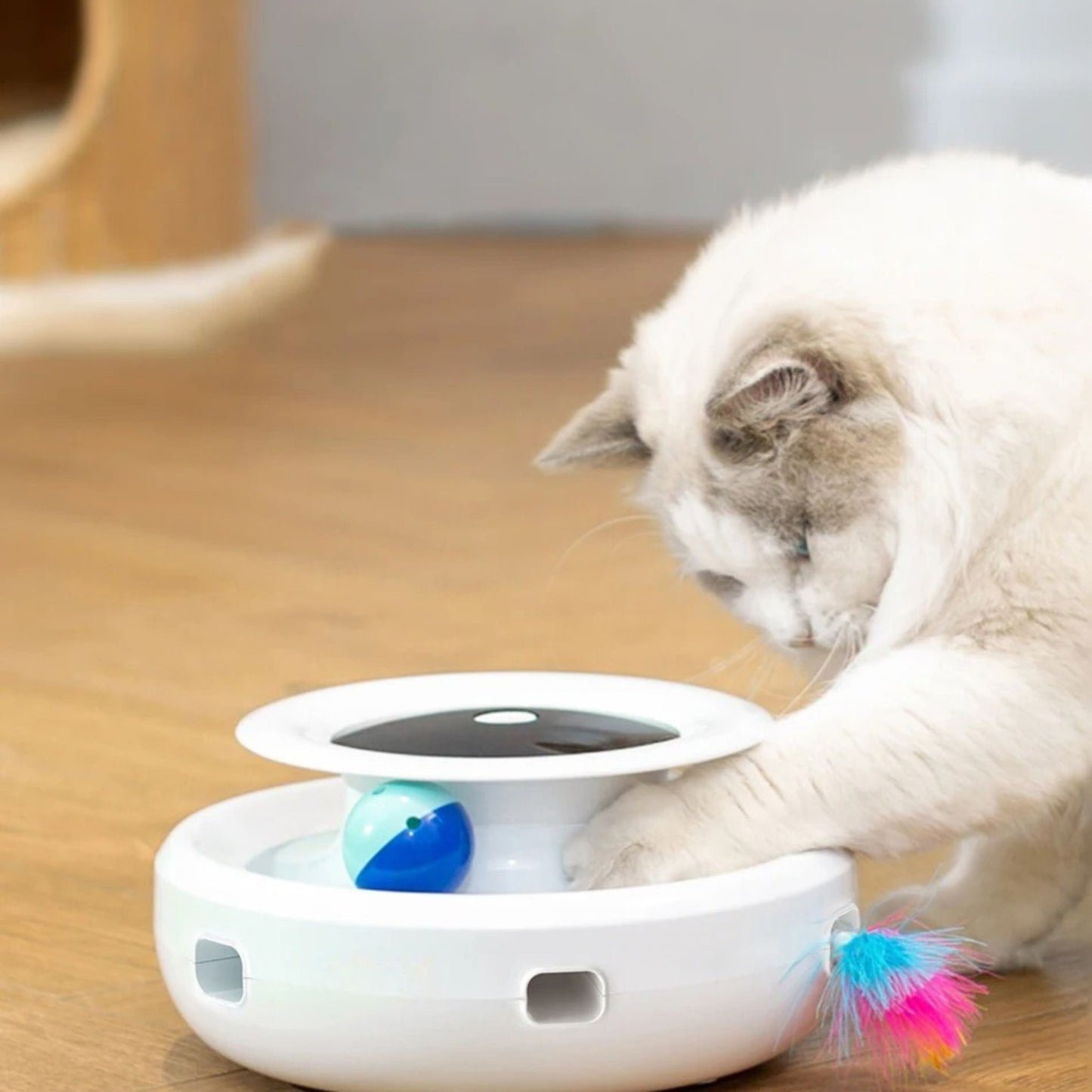 jouet-robot-chat-intéressant