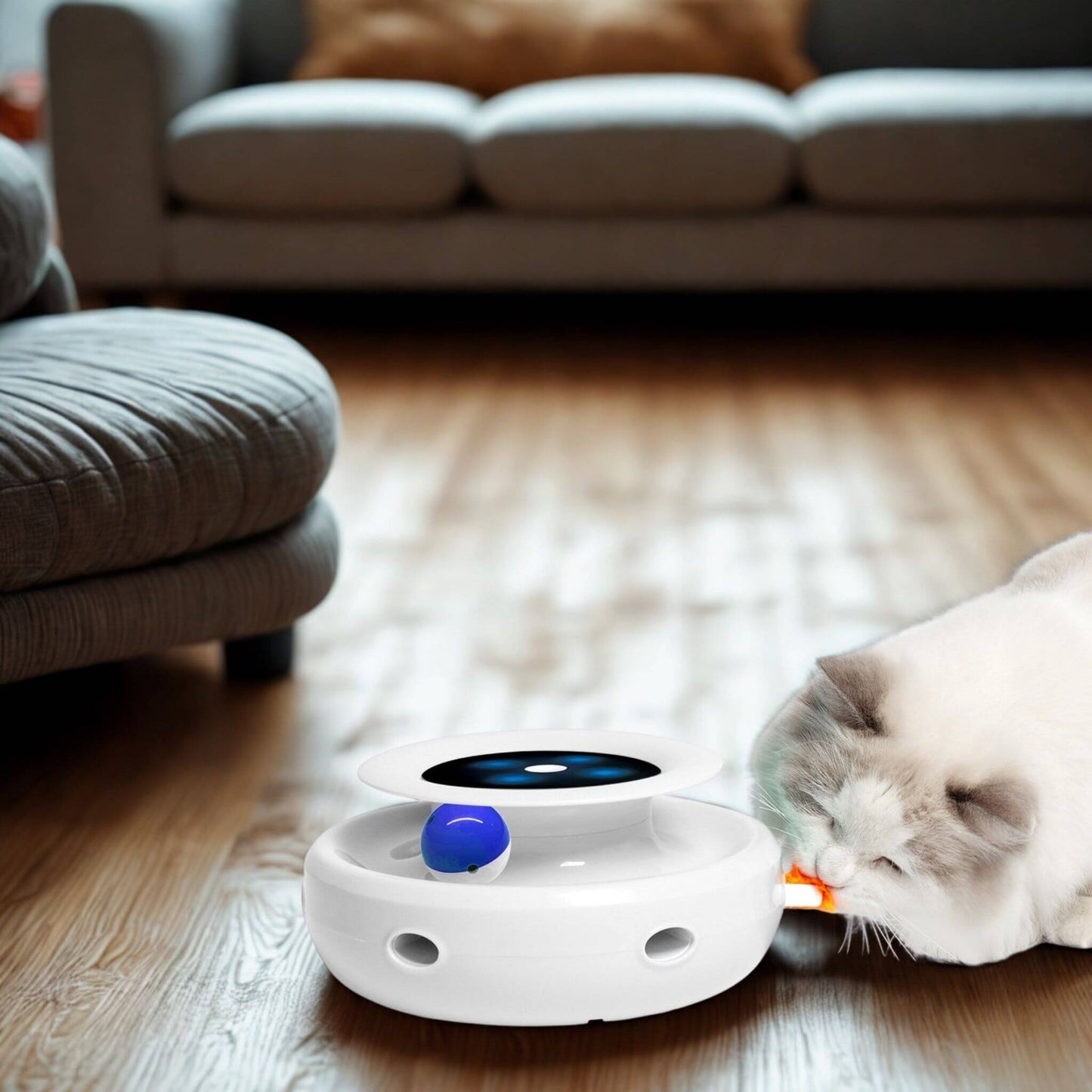 jouet-robot-chat-occupation