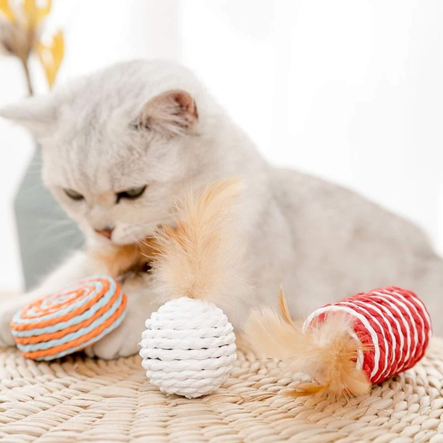 jouets-pour-chat-a-croquer