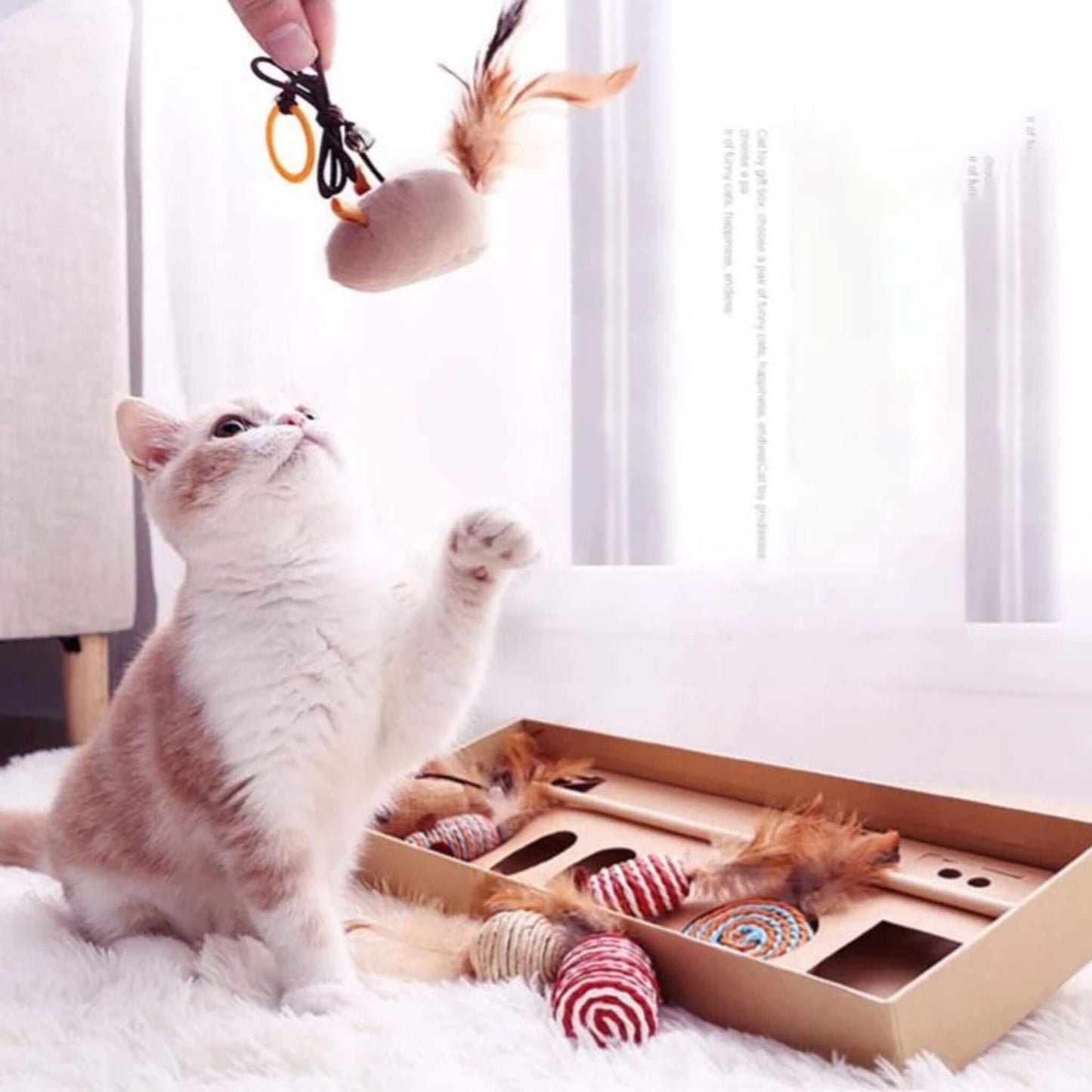 jouets-pour-chat-amusant
