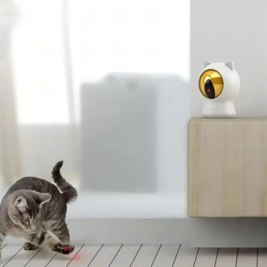 laser-a-chat-captivant