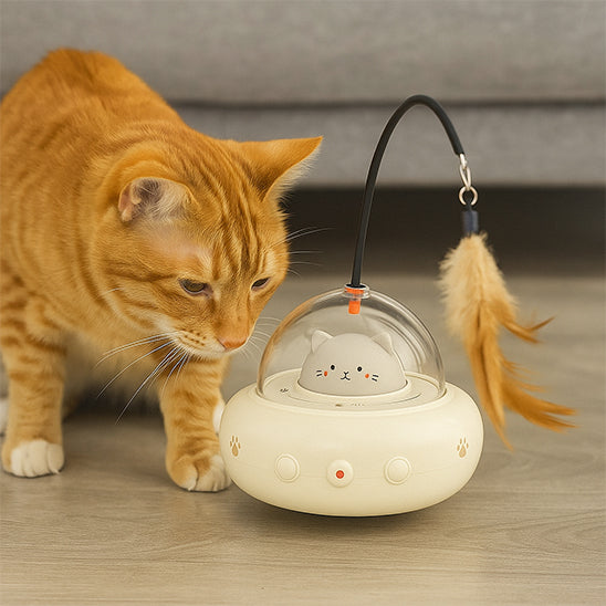 laser-a-chat-soucoupe-crème