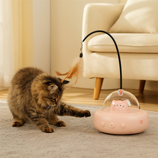 laser-a-chat-soucoupe-intelligent