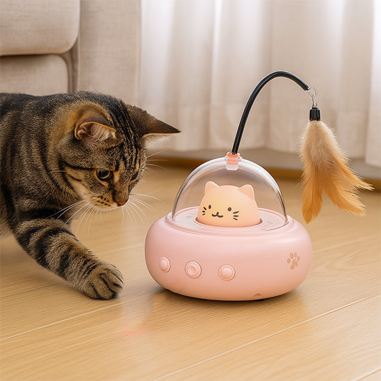 laser-a-chat-soucoupe-rose