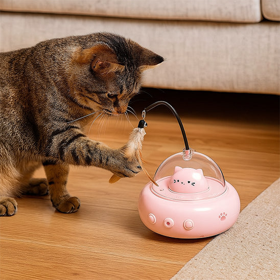 laser-a-chat-soucoupe