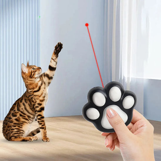 laser-chat-noir