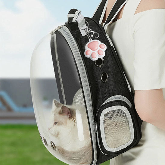 laser-chat-transportable