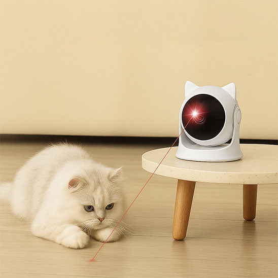 laser-pour-chat-amusant