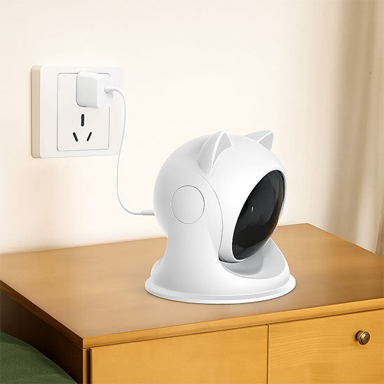 laser-pour-chat-design