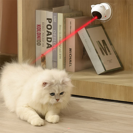 laser-pour-chat-exercice